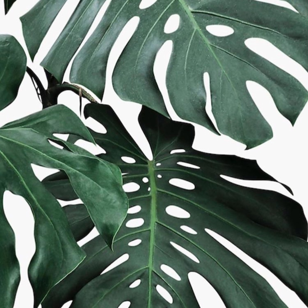 Meet your Posher, Karyn